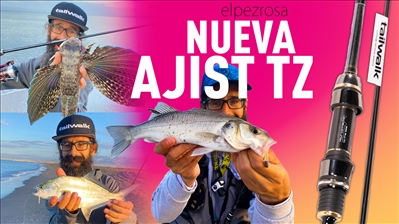 Vídeo: La mejor caña para Aji del 2024-2025